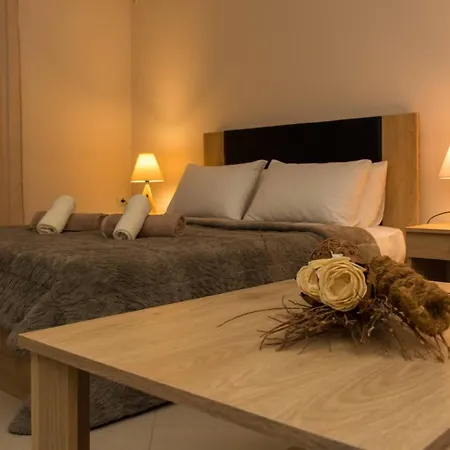 Luxury Apartment
